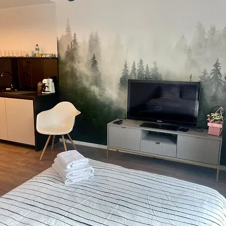 208 W Centrum Z Klimatyzacja Poznan