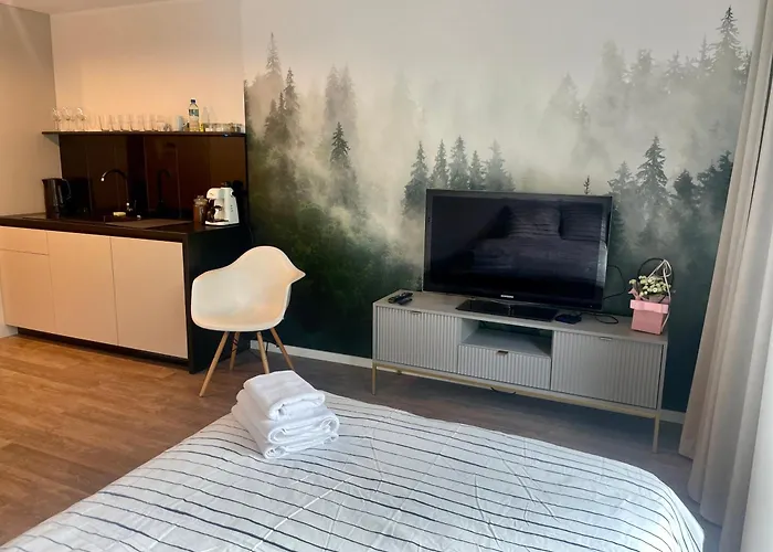 208 W Centrum Z Klimatyzacja Poznan