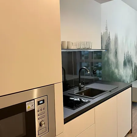 Lägenhet 208 W Centrum Z Klimatyzacja *